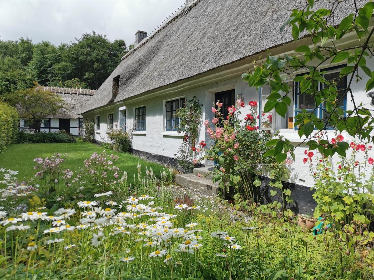 Plantepressen B&B Fåborg Εξωτερικό φωτογραφία