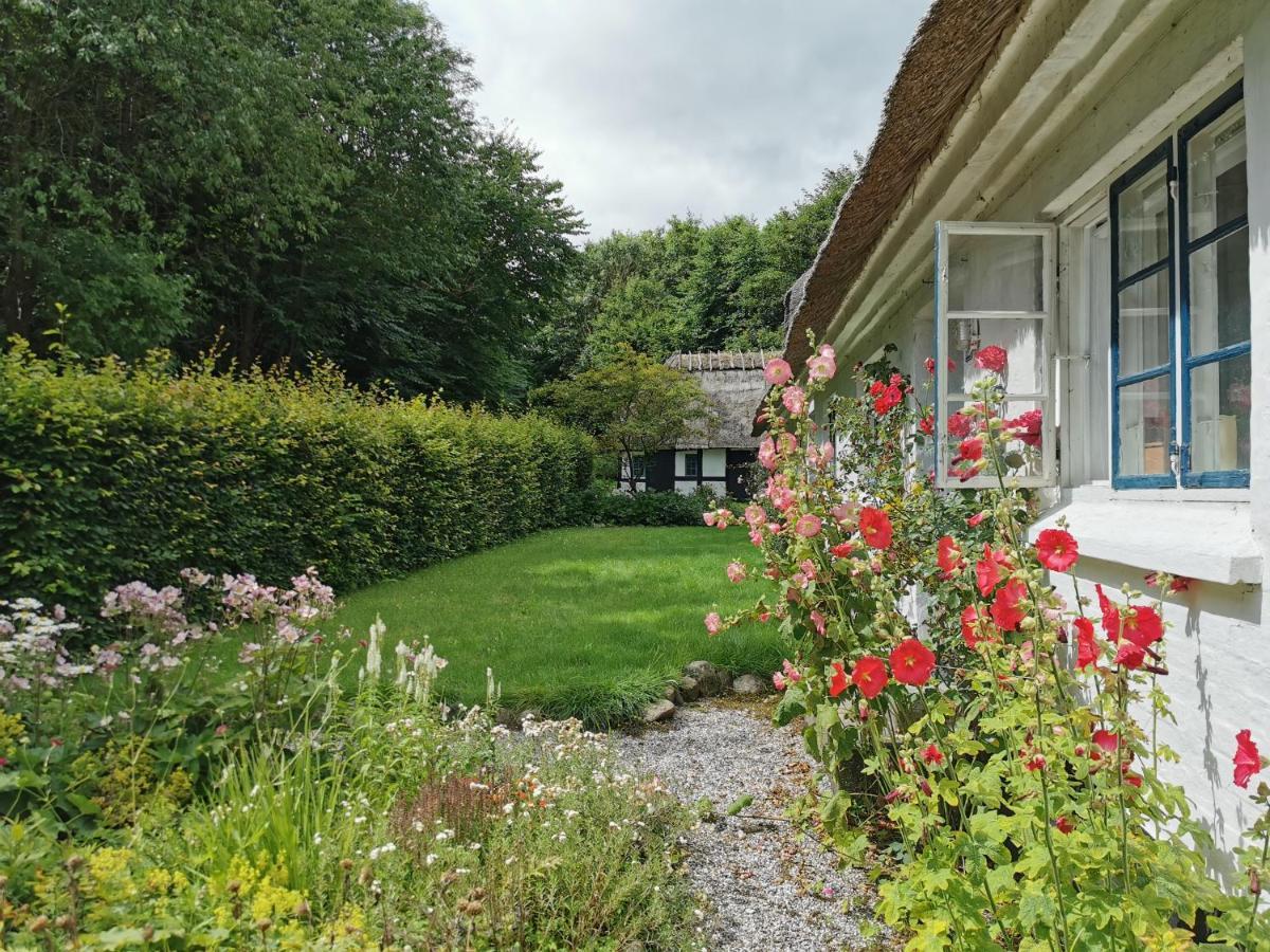 Plantepressen B&B Fåborg Εξωτερικό φωτογραφία