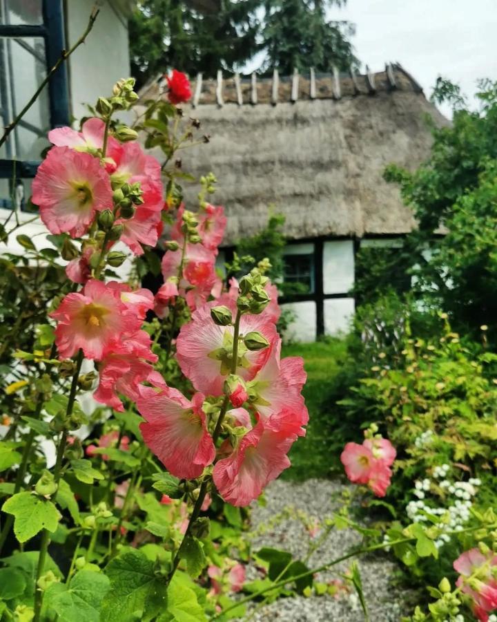 Plantepressen B&B Fåborg Εξωτερικό φωτογραφία